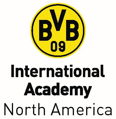 Bvb portrait logo for north america